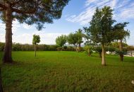 Sale - Apartments - Torrevieja