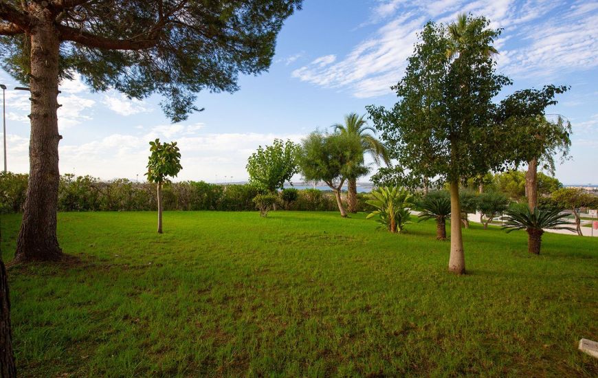 Sale - Apartments - Torrevieja