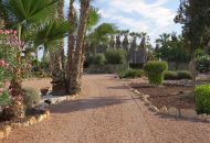 Sale - Finca - Daya Vieja