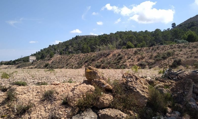 Sale - Land - Hondón de las Nieves