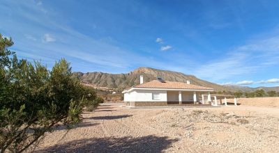 Finca - New Build - Macisvenda - Macisvenda