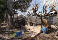 Venta - Apartamentos - 