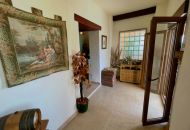 Sale - Finca - Orihuela