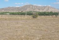 Sale - Land - Hondón de las Nieves