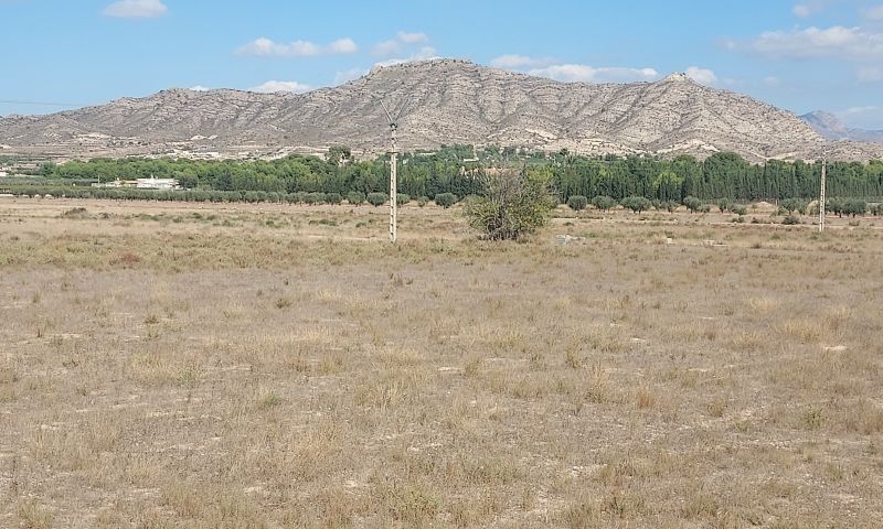 Sale - Land - Hondón de las Nieves