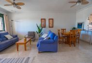 Venta - Apartamentos - Ciudad Quesada