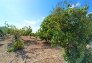 Venta - Casa Rural - Aspe