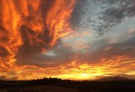 Venta - Apartamentos - Algorfa