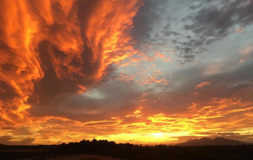 Venta - Apartamentos - Algorfa