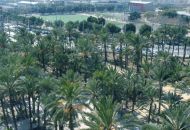 Venta - Apartamentos - Elche