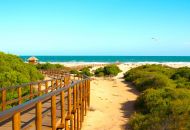 Nueva construcción  - Apartamentos - Guardamar del Segura