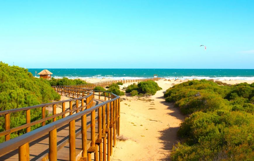 Nueva construcción  - Apartamentos - Guardamar del Segura