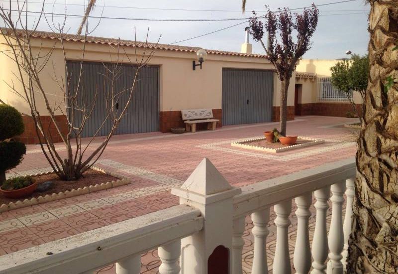 Sale - Finca - Sax