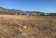 Venta - Terreno - Salinas