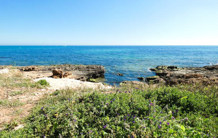 Venta - Adosado - Torrevieja