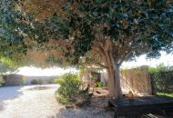 Sale - Country Property - Orihuela