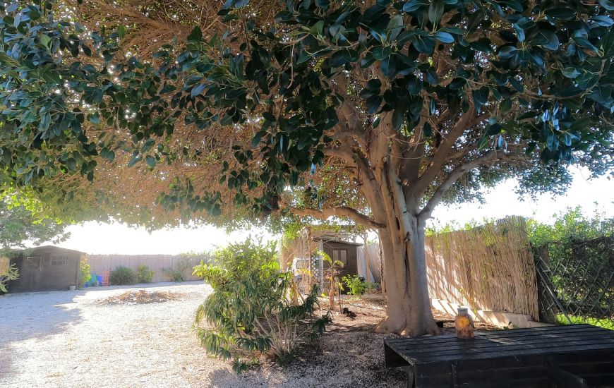 Sale - Country Property - Orihuela