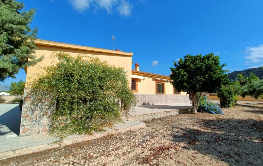 Venta - Casa Rural - Aspe