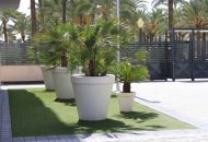 Venta - Apartamentos - Elche