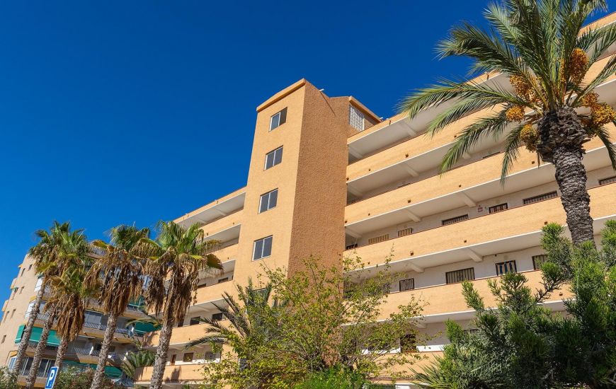 Sale - Apartments - Guardamar del Segura