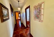 Sale -  - Los Montesinos - 