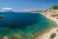 Venta - Apartamentos - 