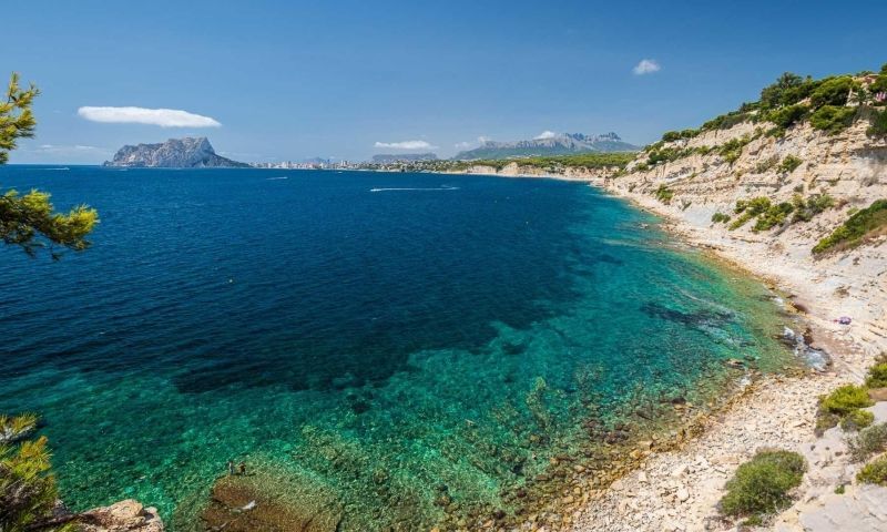 Venta - Apartamentos - 