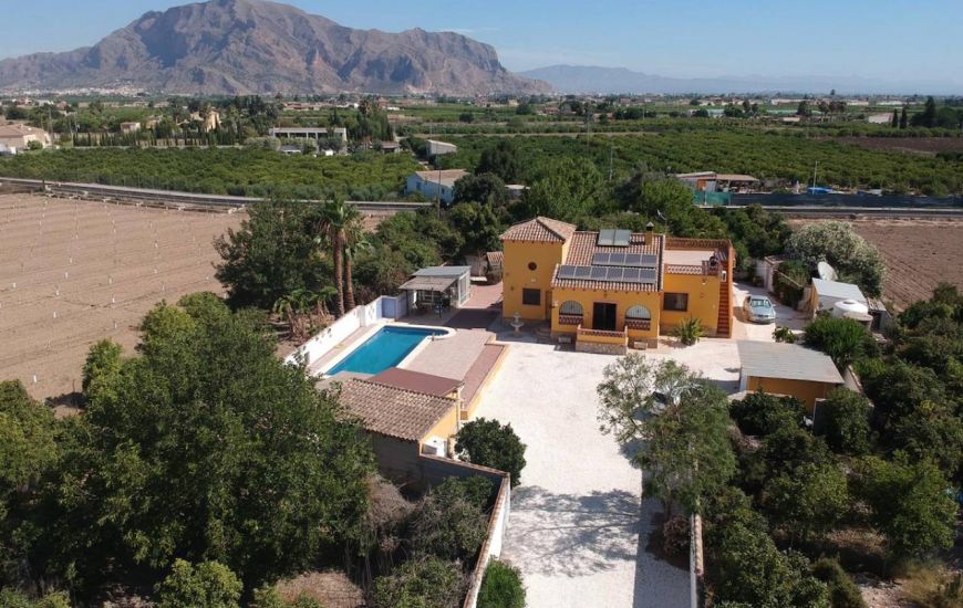 Sale - Finca - Orihuela