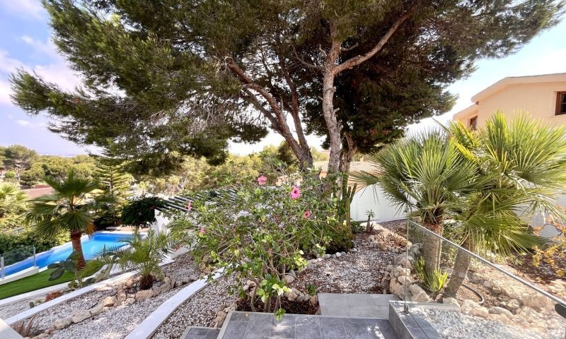 Venta - Apartamentos - 