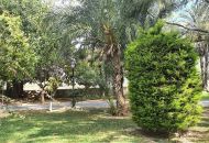 Sale - Apartments - Torrevieja