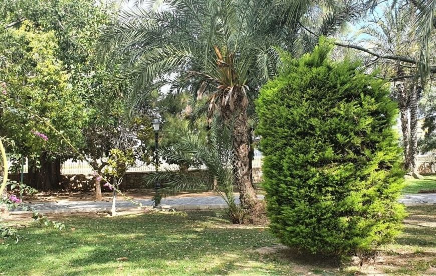 Sale - Apartments - Torrevieja