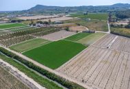 Sale - Country Property - Orihuela