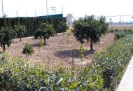Sale - Villa - Elche