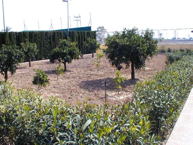 Sale - Villa - Elche