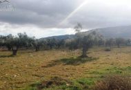 Venta - Terreno - Biar