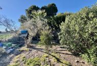 Sale - Country Property - Guardamar del Segura