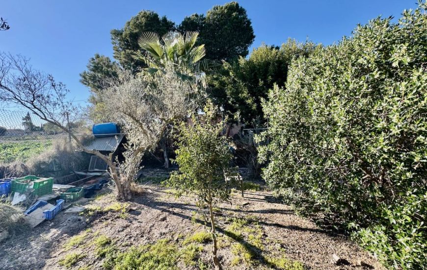Sale - Country Property - Guardamar del Segura