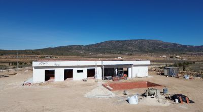 Finca - New Build - Pinoso - Pinoso