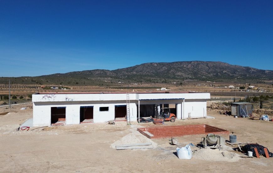 Nueva construcción  - Casa Rural - Pinoso