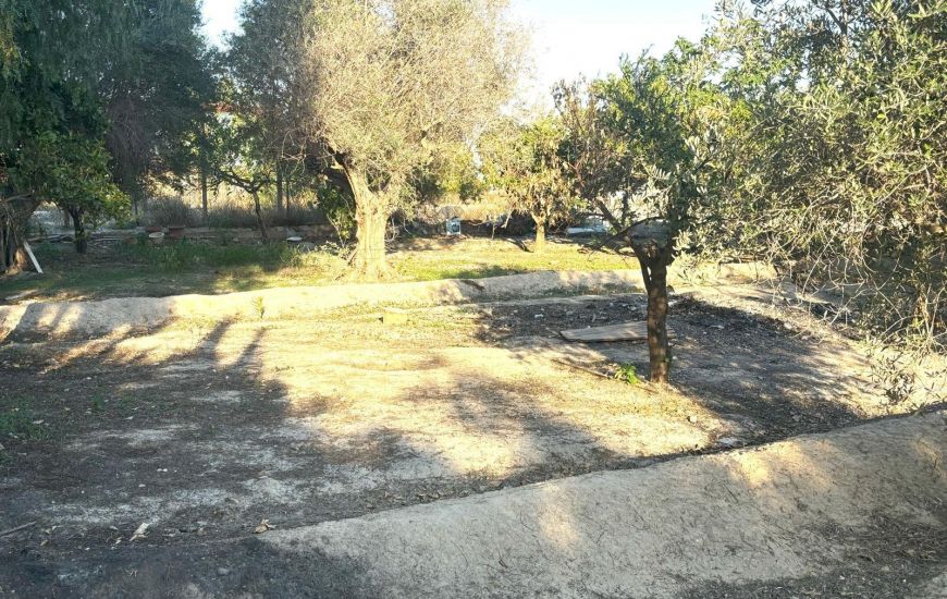 Sale - Country Property - Crevillente