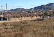 Sale - Land - Hondon de los Frailes