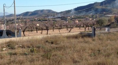 Terreno - Venta - Hondon de los Frailes - Hondon de los Frailes